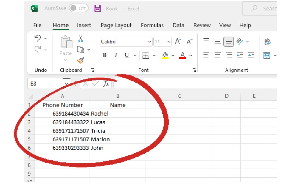 The screenshot shows the format of the CSV file.